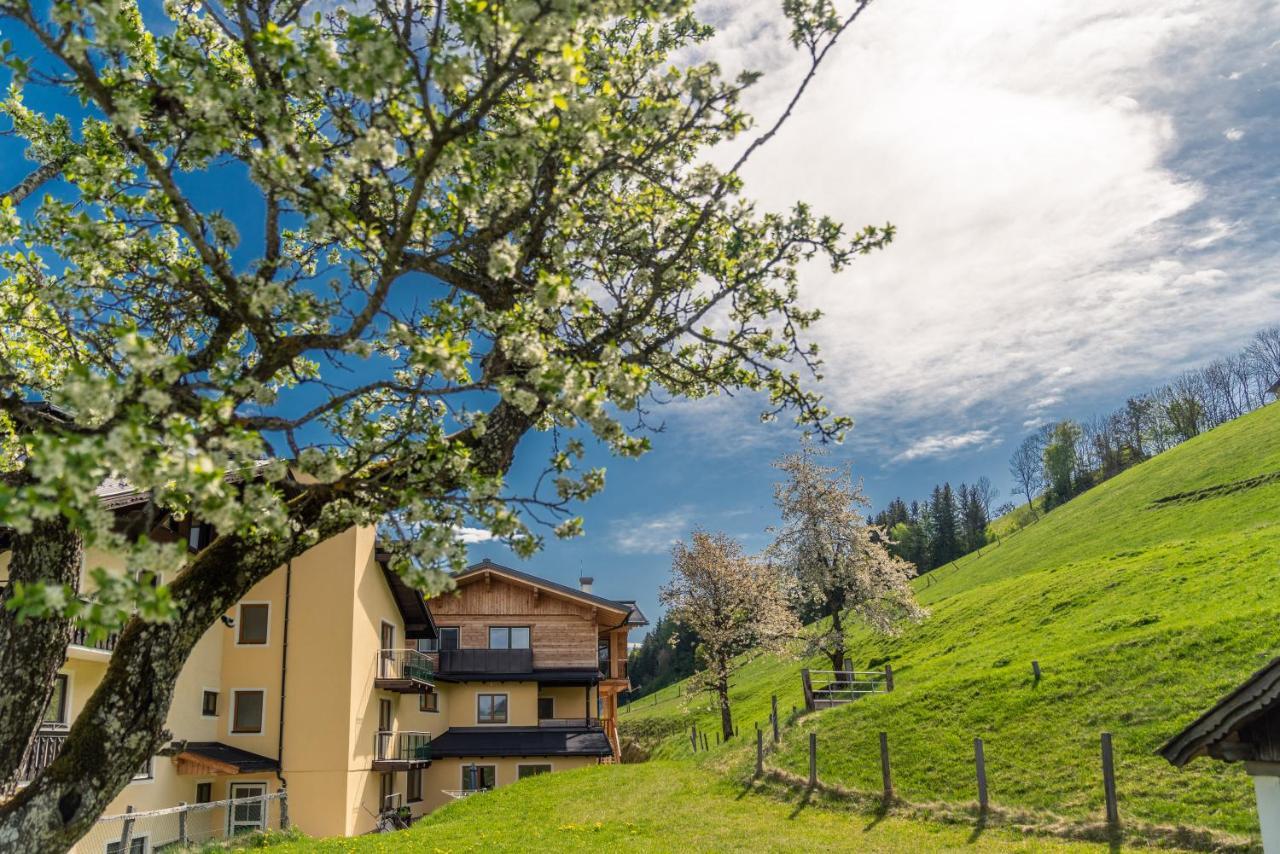 Hotel Starchlhof Schladming Dış mekan fotoğraf